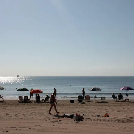 Dream * Torrevieja